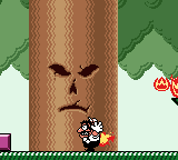 Nintendo Game Boy Color: Wario Land 3
