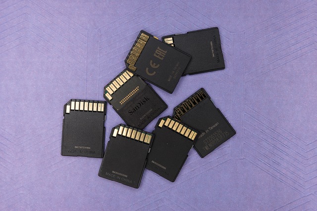 Read more about the article The Importance of High-Quality SD Cards in Retro Gaming Handhelds